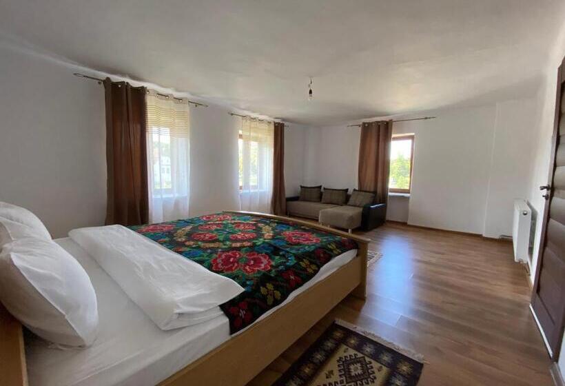 ペンション Casa De Vacanta Family & Friends