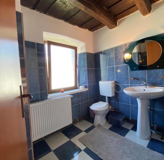 ペンション Casa De Vacanta Family & Friends