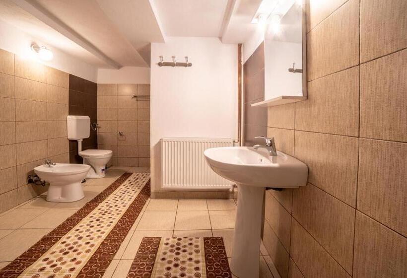 פנסיון Casa De Vacanta Family & Friends