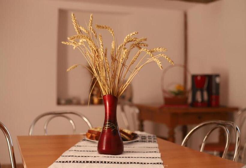 膳宿费 Casa De Vacanta Family & Friends