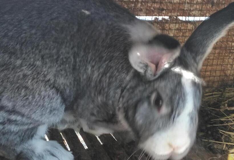 膳宿费 Colț De Rai   Camera De Inchiriat