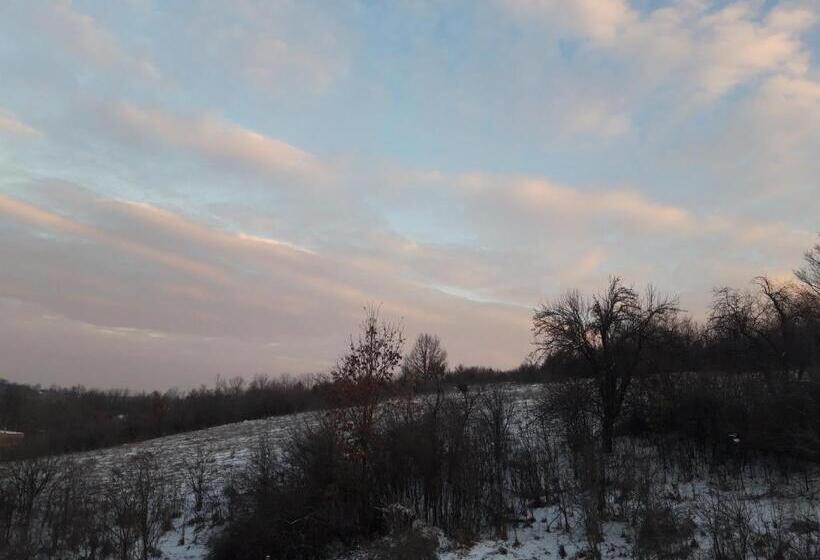 膳宿费 Colț De Rai   Camera De Inchiriat