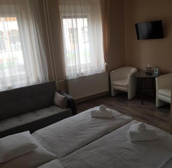 פנסיון Dm Vendégház Villány