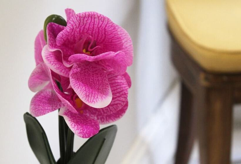 پانسیون Domu Ajaju Guest House