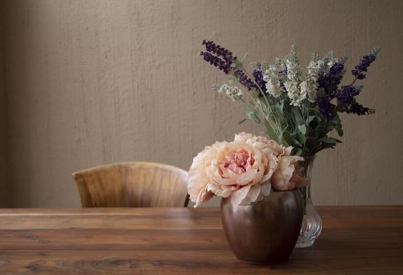 پانسیون Domu Ajaju Guest House