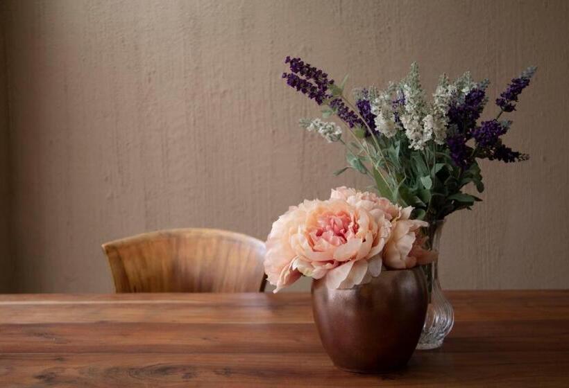 پانسیون Domu Ajaju Guest House