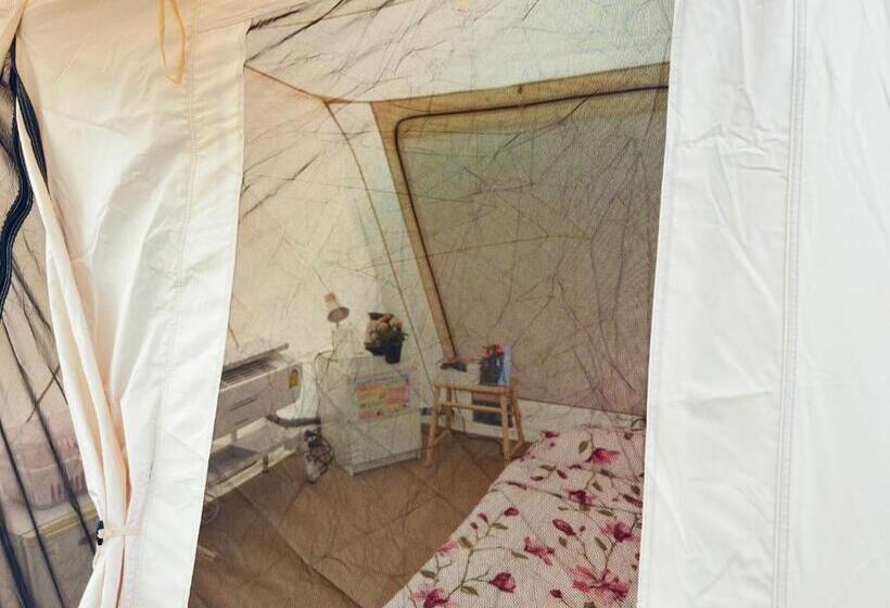 بنسيون Ozone By บ้านเขาค้อ