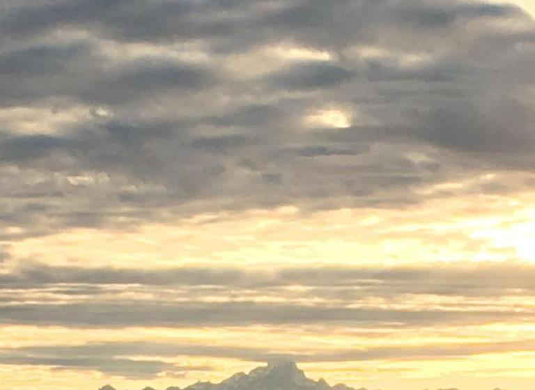 ペンション Palazzo D Assi   Guest House