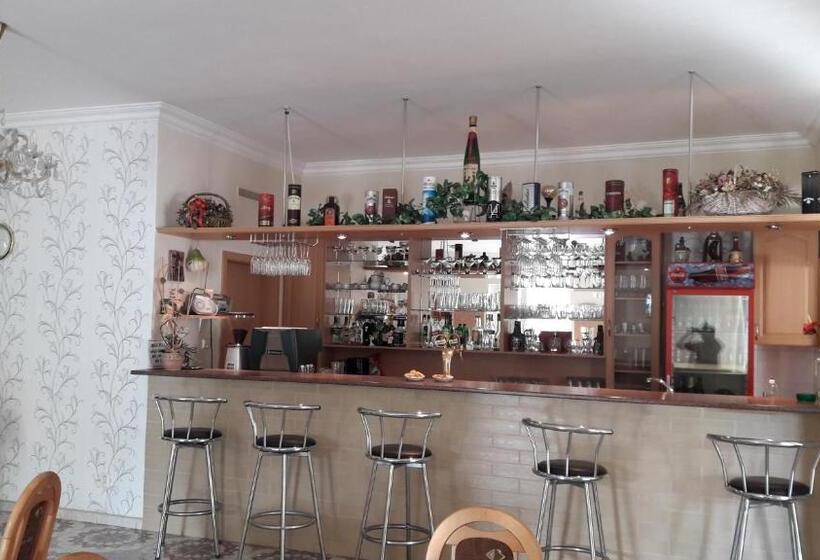 膳宿费 Penzion Europa Diakovce