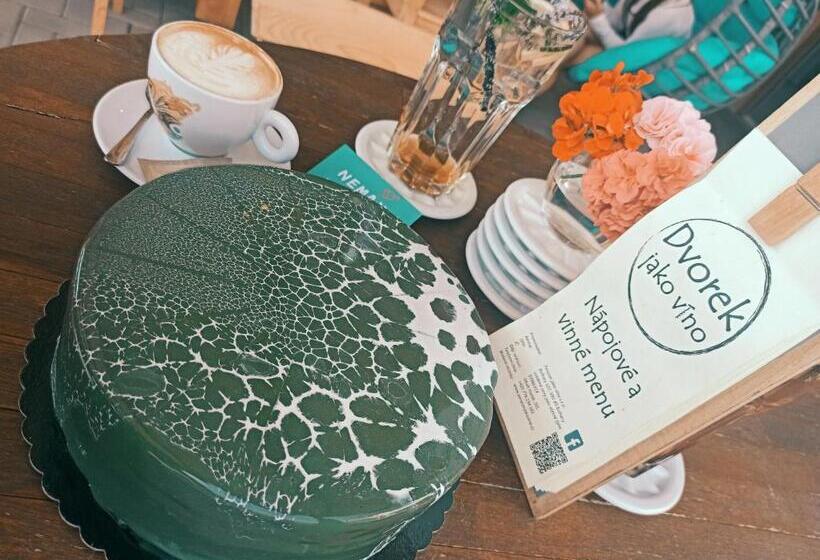 פנסיון Penzion Jako Víno