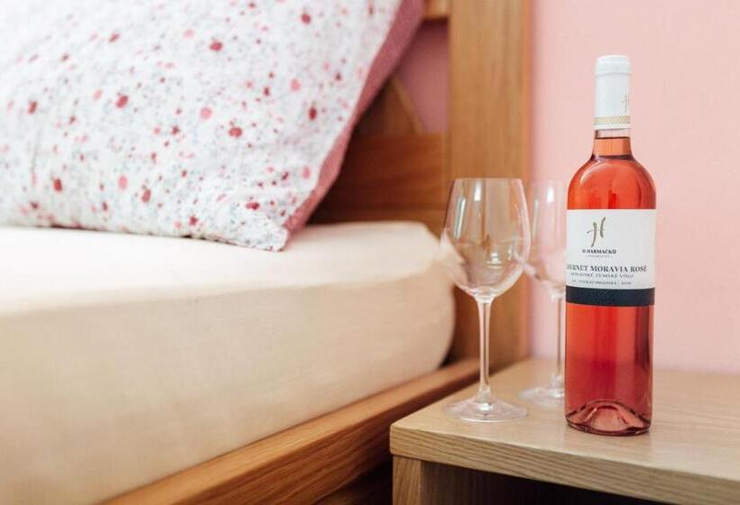 ペンション Penzion U Harmáčků