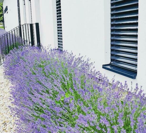 פנסיון Penzion Vinarstvi Bilkovi