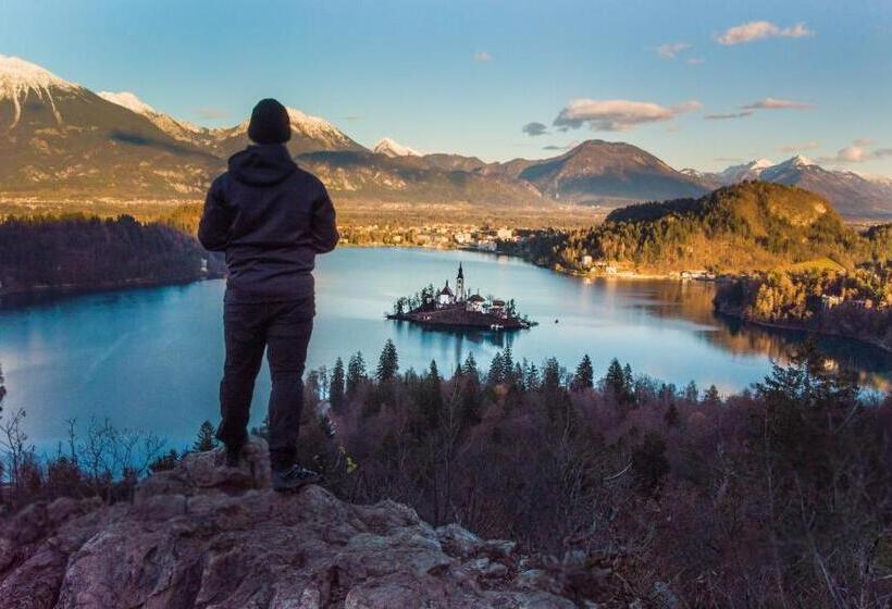 پانسیون The Jungle Apartments And Rooms