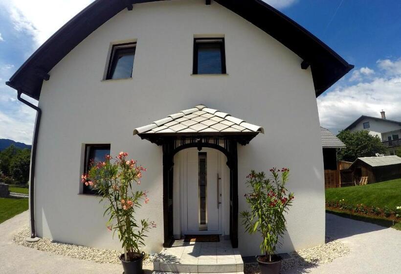 پانسیون The Jungle Apartments And Rooms