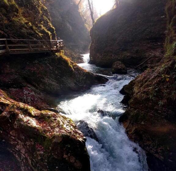 پانسیون The Jungle Apartments And Rooms