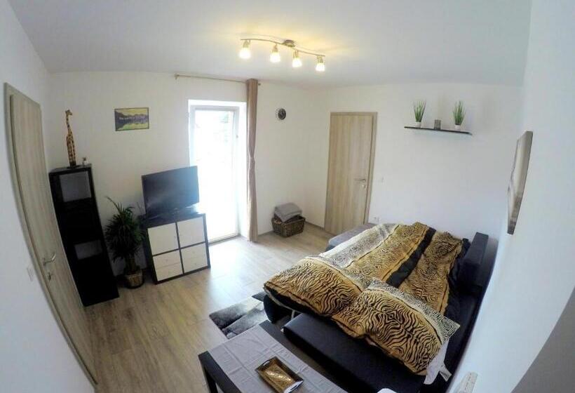 پانسیون The Jungle Apartments And Rooms