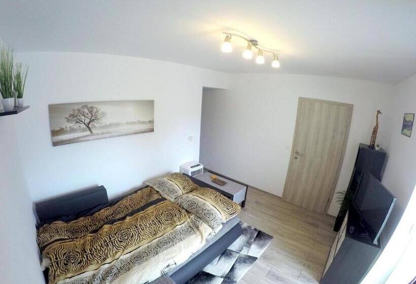 پانسیون The Jungle Apartments And Rooms