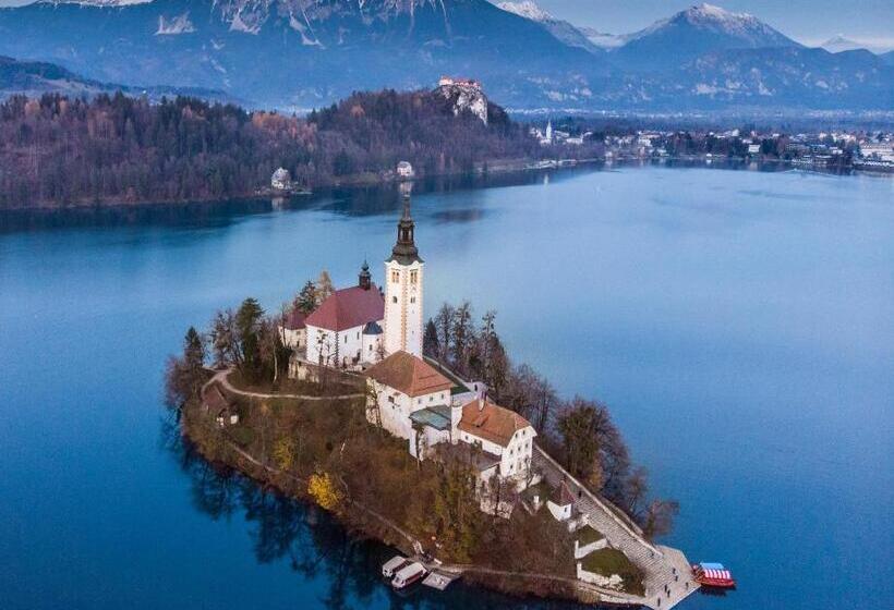 پانسیون The Jungle Apartments And Rooms