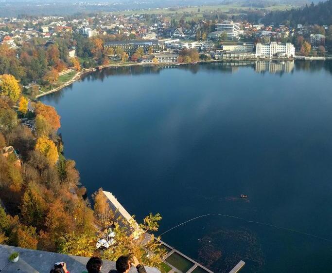 پانسیون The Jungle Apartments And Rooms