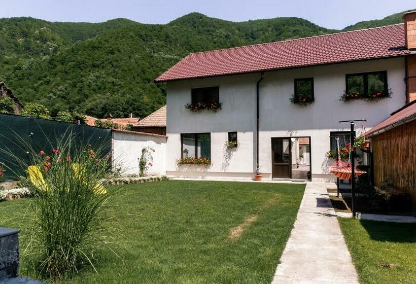 بنسيون Vila Rodica Transalpina