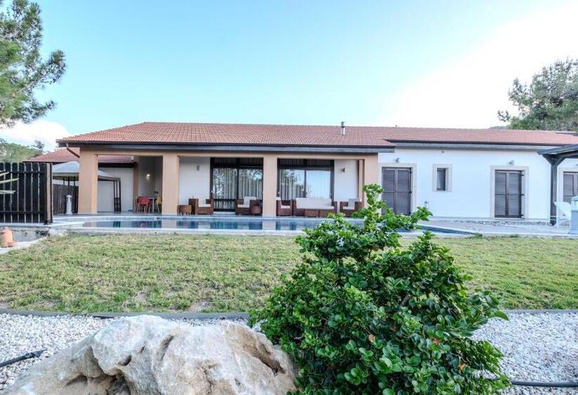 Pine And Olive Seahouse