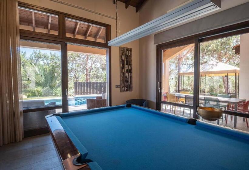 Pine And Olive Seahouse