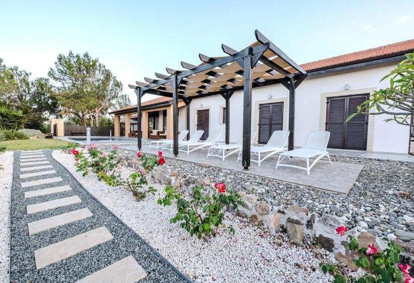 Pine And Olive Seahouse