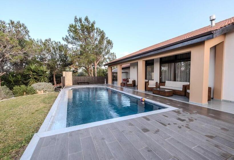 Pine And Olive Seahouse