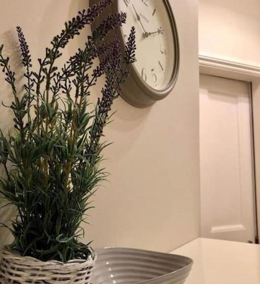 Stylish  2 Bed  Heart Of The City   Parking  Wi Fi  Award Winning  Grade Ii Listed