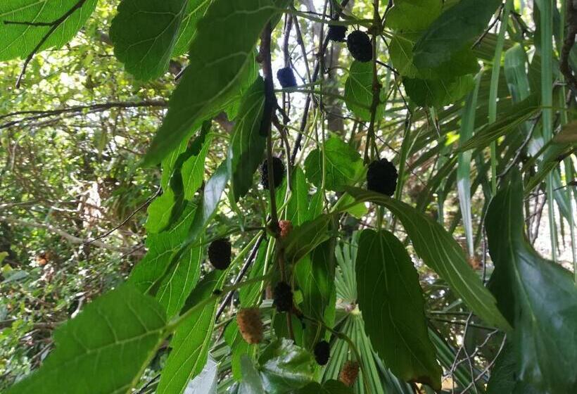 Sweet Apartment With Private Pool Lori Ankaran