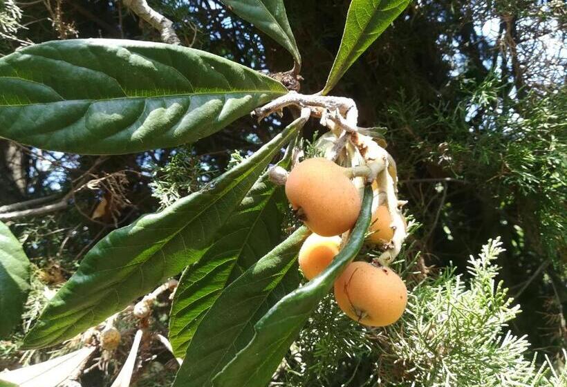 Sweet Apartment With Private Pool Lori Ankaran