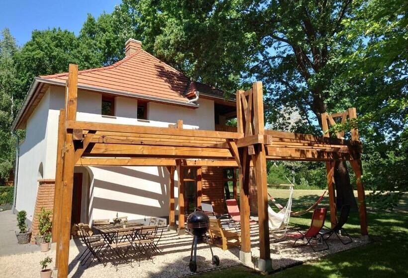 Tiszára Néző Heverésző   Lounger Overlooking The Tisza River