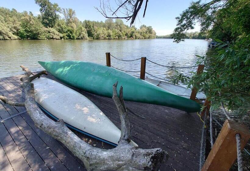 Tiszára Néző Heverésző   Lounger Overlooking The Tisza River