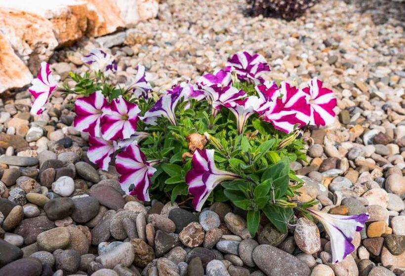 B&b I Trulli Dei Desideri