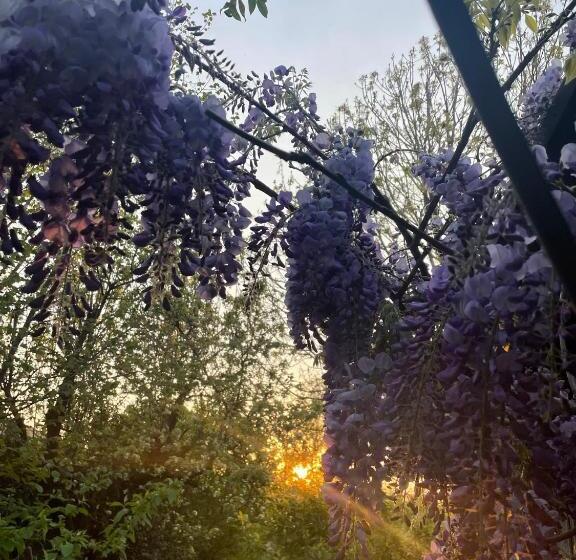 B&b Villa Giardini Susanna