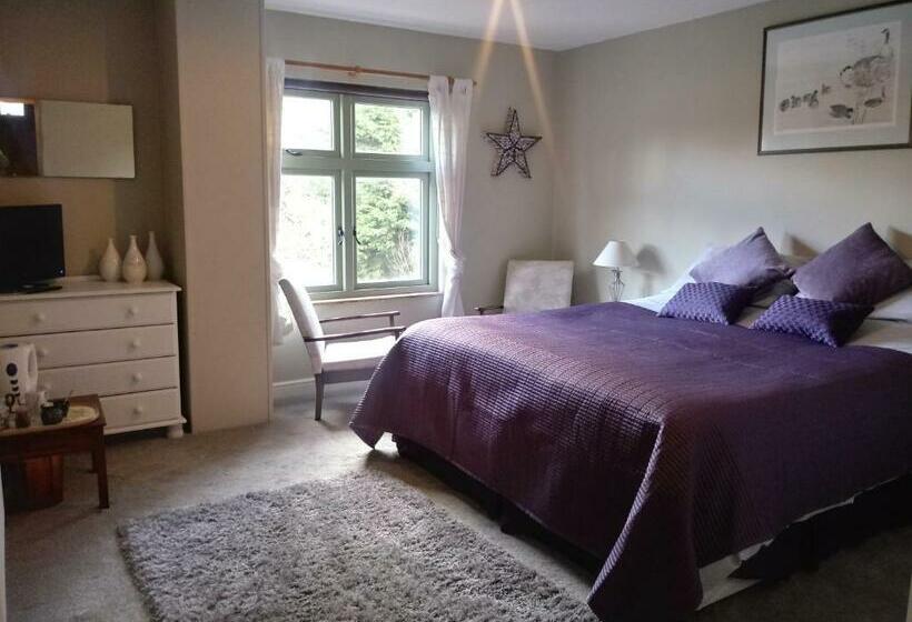 住宿加早餐 Claw House