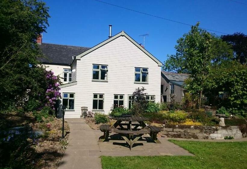 住宿加早餐 Claw House