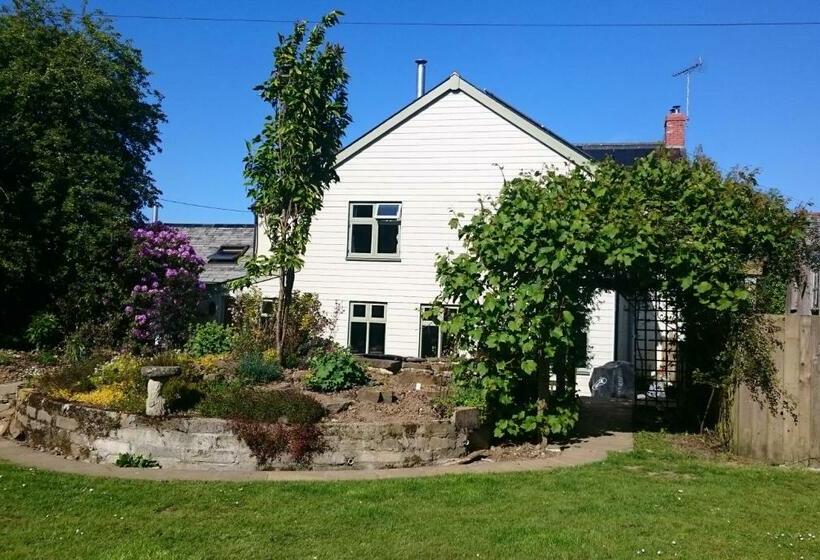 住宿加早餐 Claw House