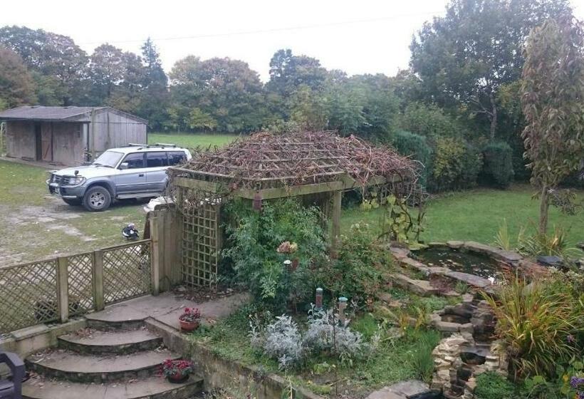 住宿加早餐 Claw House