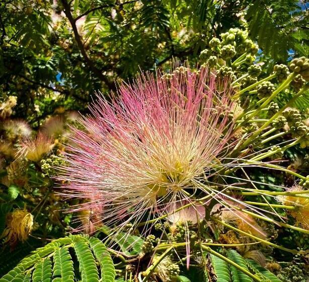 مبيت وإفطار Domaine Des Deux Rivieres