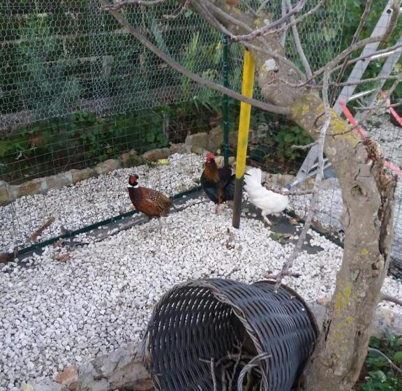 Bed and Breakfast Il Castello