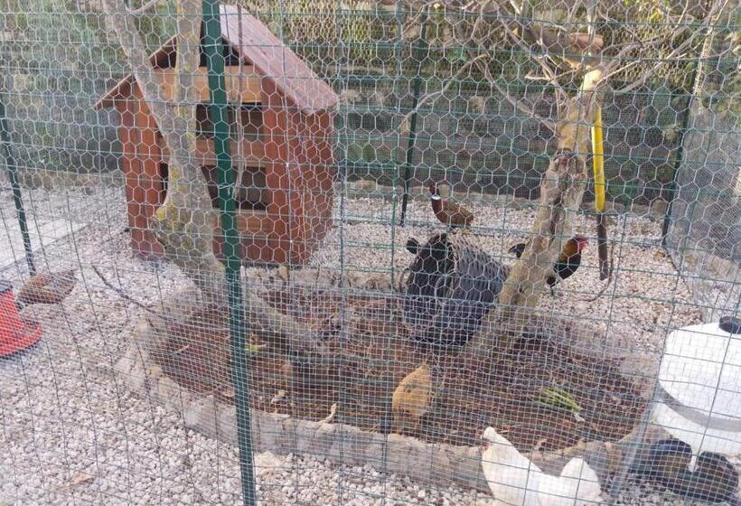 Bed and Breakfast Il Castello