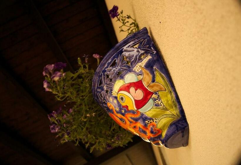 住宿加早餐 La Casa Di Bia