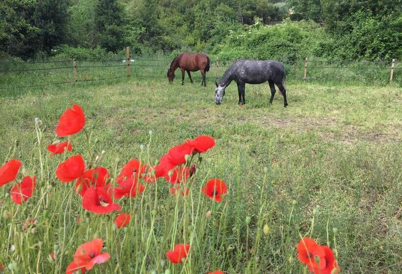 ベッドアンドブレックファースト Les Olivettes Le Mazet