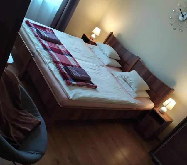 ベッドアンドブレックファースト Szilvia Panzió Gyomaendrőd