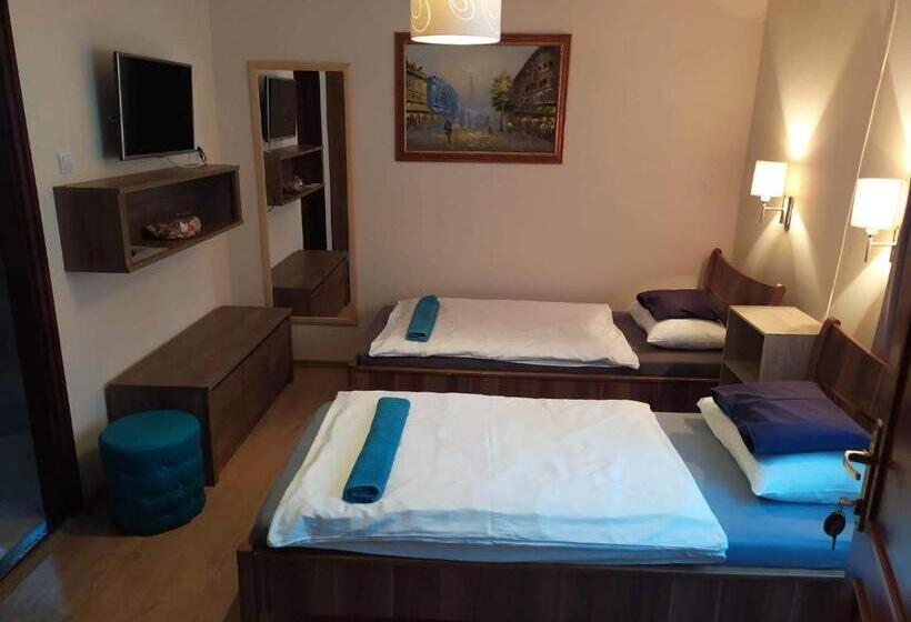 ベッドアンドブレックファースト Szilvia Panzió Gyomaendrőd