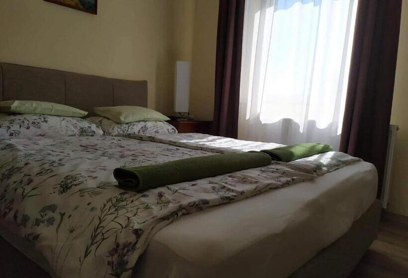 ベッドアンドブレックファースト Szilvia Panzió Gyomaendrőd