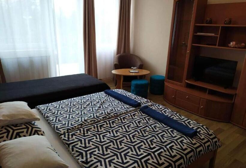 ベッドアンドブレックファースト Szilvia Panzió Gyomaendrőd