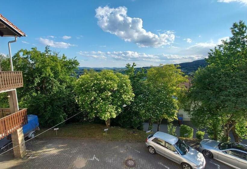 über Den Dächern Von Furth Im Wald