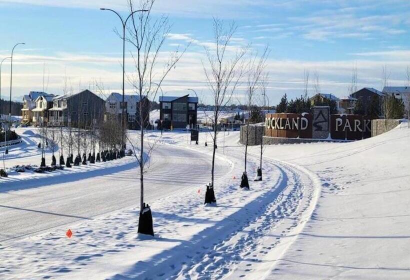 Brand New 3 Bedroom Home In A Quiet Neighborhood